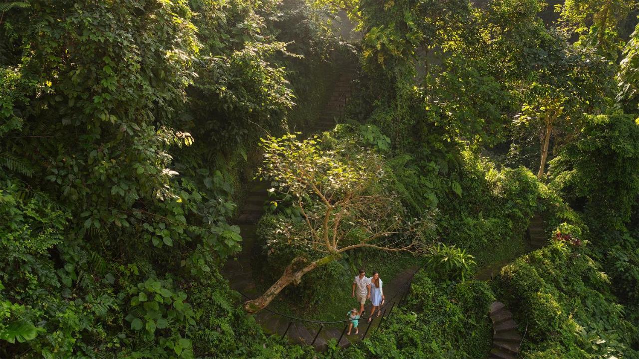 Maya & Ubud