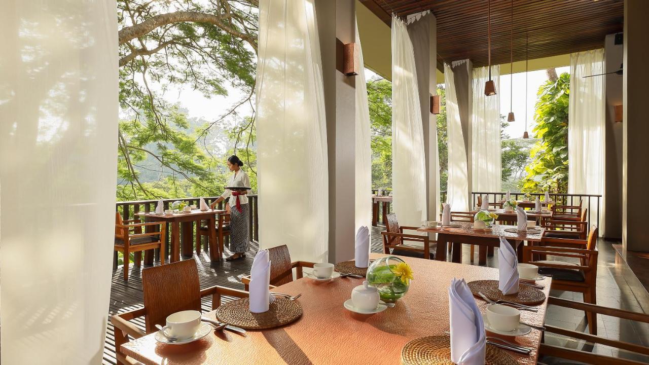Maya & Ubud