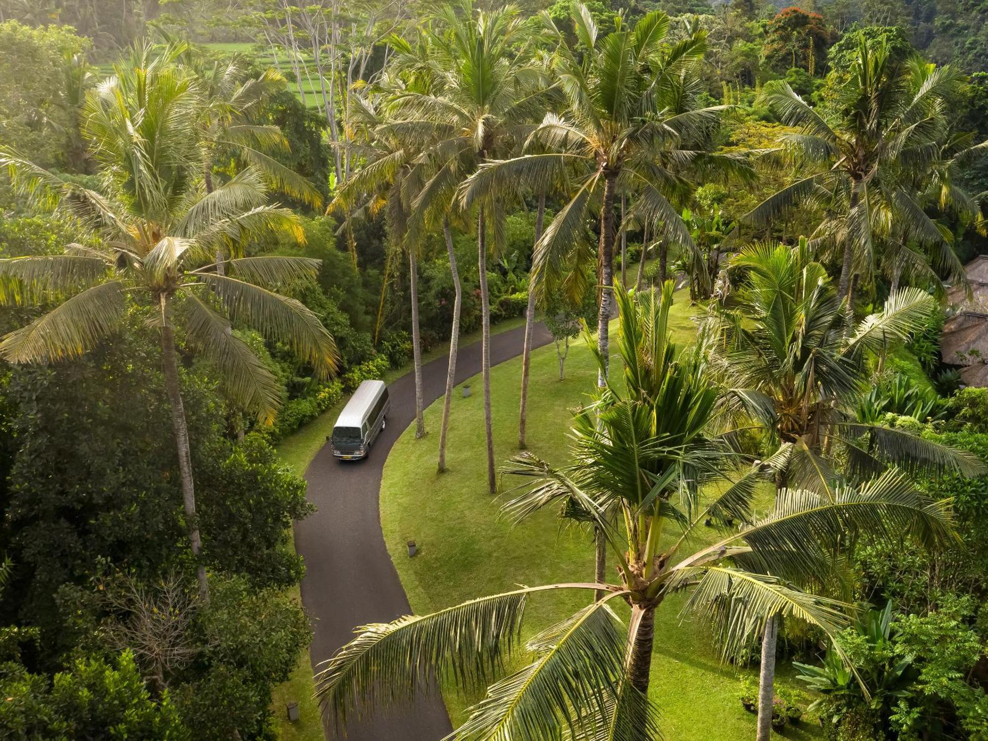 Resort Maya &