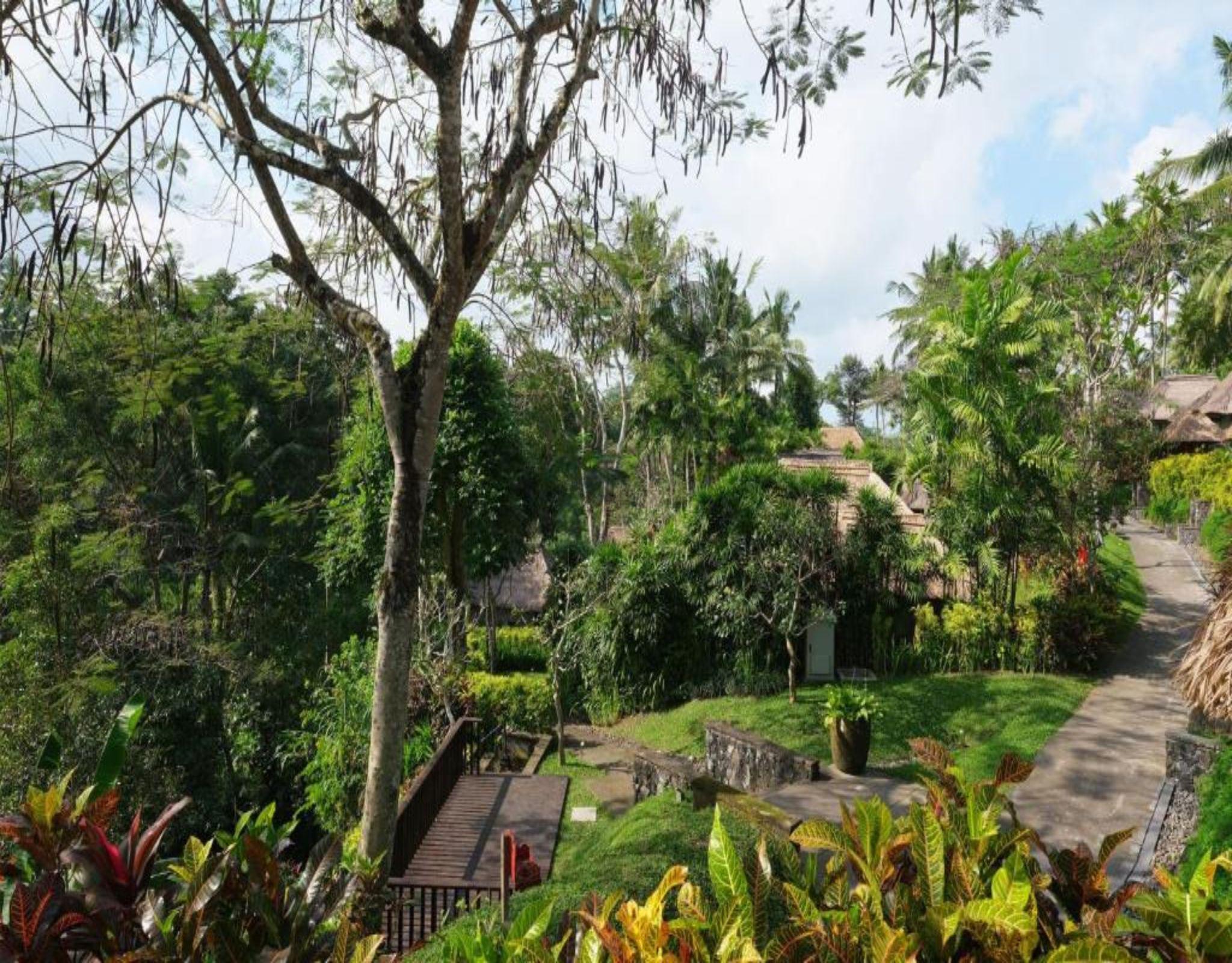 Maya & 5* Ubud (Bali)