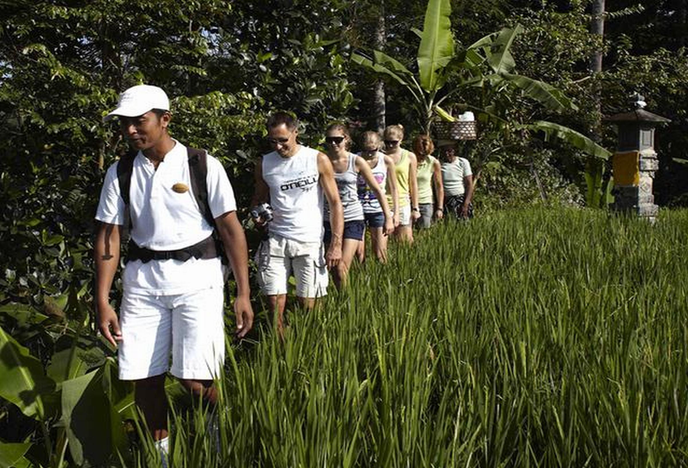 Maya & Ubud (Bali)